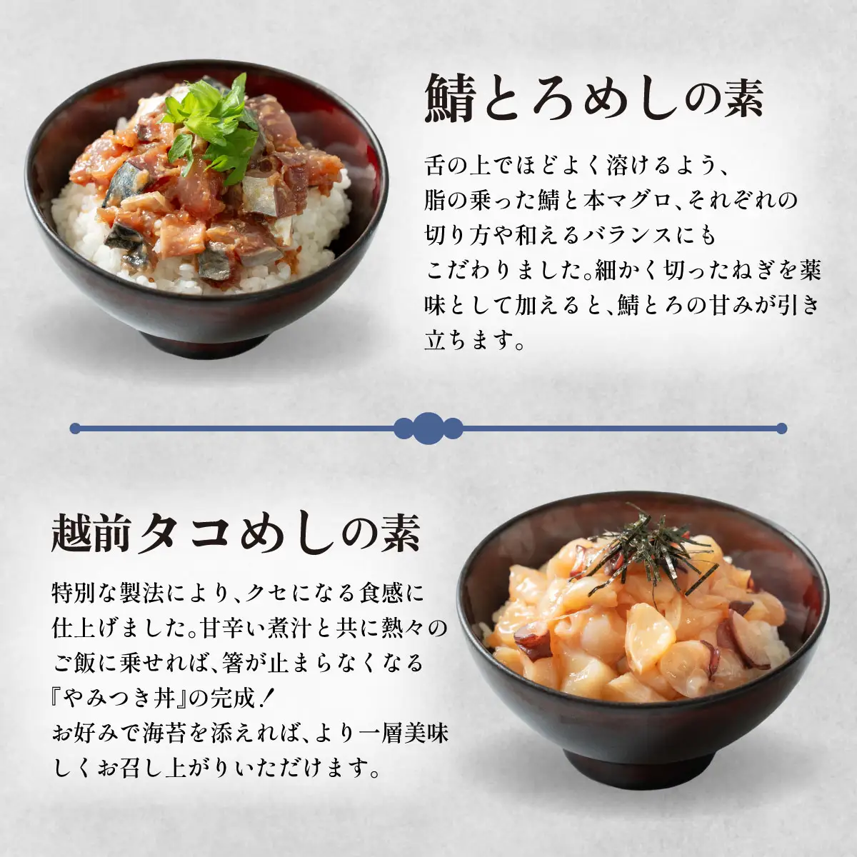 海鮮丼 お試し厳選 2種セット [047-b041]