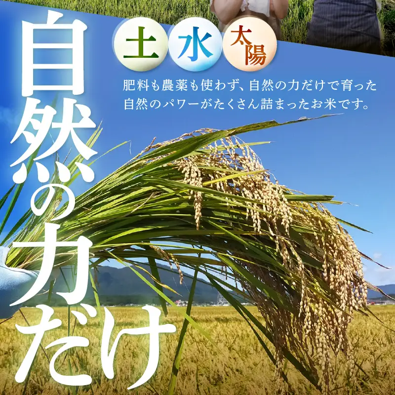 【先行予約】【令和8年産】伊与衛門農園の自然栽培コシヒカリ無洗米 5kg  【福井県認証米】＜温度と湿度を常時管理し新鮮米を出荷！＞ / 米 白米 自然の力 高品質 鮮度抜群 ブランド米 福井県 あわら市産 スマート農業 ※2026年10月下旬より順次発送予定 [aw071-b005]