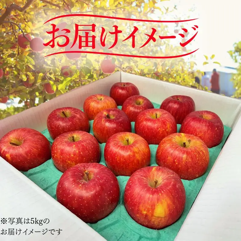 【12月上旬~発送】 りんご サンフジ 5kg 先行予約 訳あり 家庭用 ふじむら農園 fujimura005