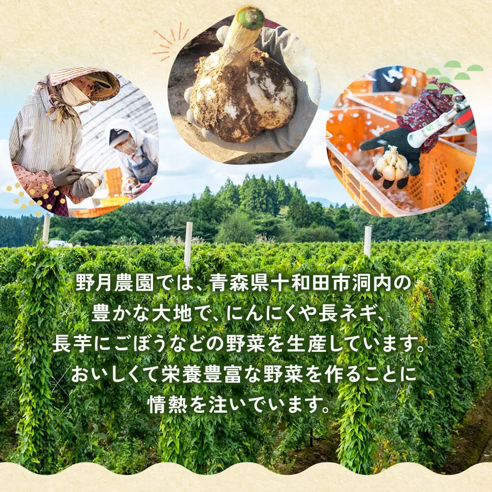 黒にんにくL×6玉セット 青森県十和田市産