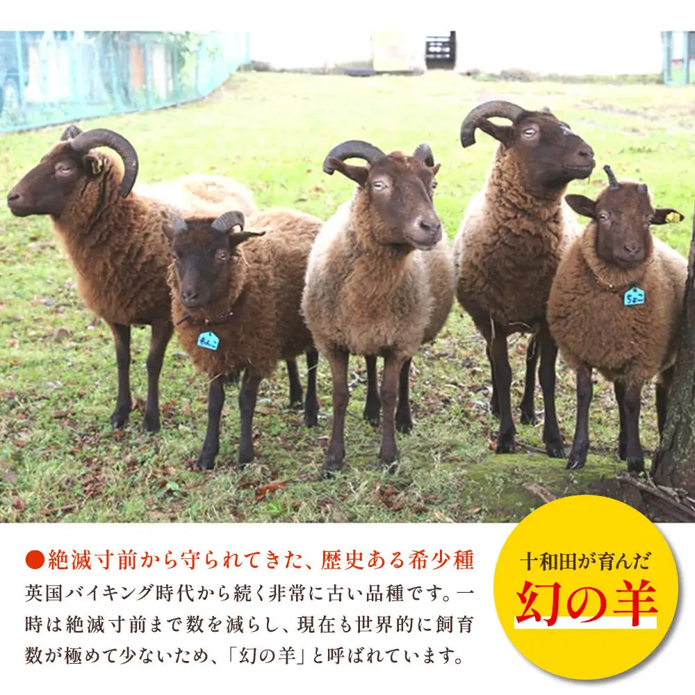 幻の国産ラム 青森県十和田市産 マンクスロフタン 400g（200g×2パック）【年間5頭限定】