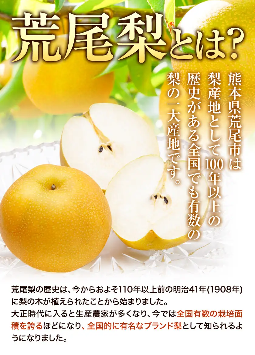 梨 荒尾梨 1kg 旬の品種