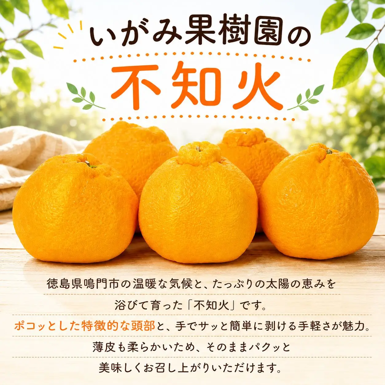 不知火 約2.5kg 4L みかん しらぬい デコポン 贈答用