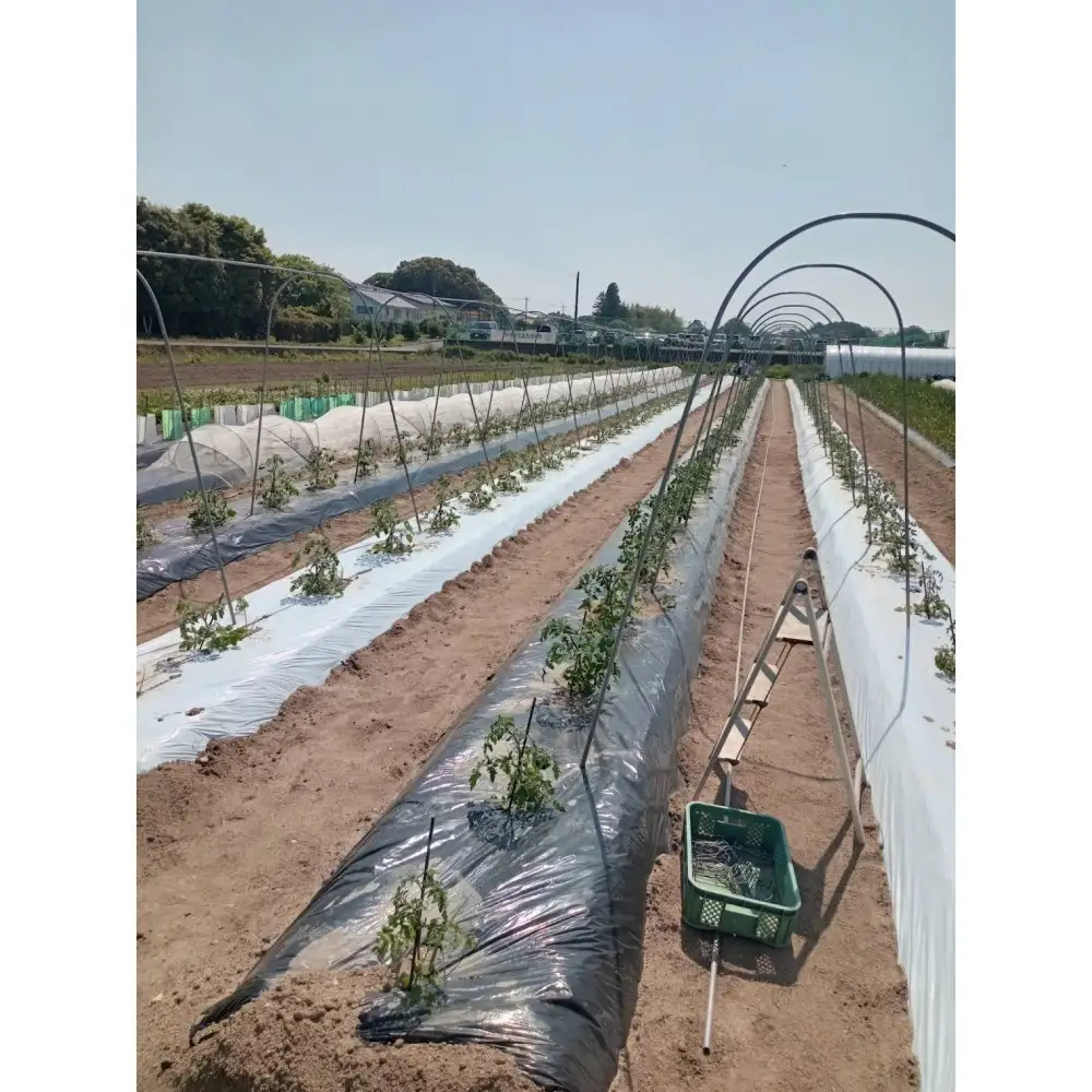 【SPIRA FARM】旬の野菜と玉ねぎドレッシングのセット（１３～１５品）
