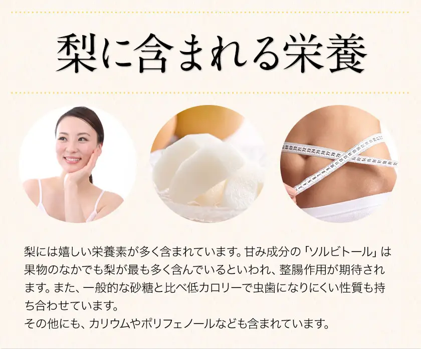 梨 くまもと梨 1kg 品種 熊本県産