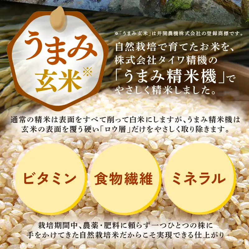 【先行予約】【令和8年産】伊与衛門農園の自然栽培米コシヒカリ うまみ玄米5kg×2袋（計10kg） 化学肥料不使用  ＜温度と湿度を常時管理し新鮮米を出荷！＞／ 高品質 鮮度抜群 福井県あわら産 ブランド米 お米 ※2026年10月下旬以降順次発送 [aw071-d005]