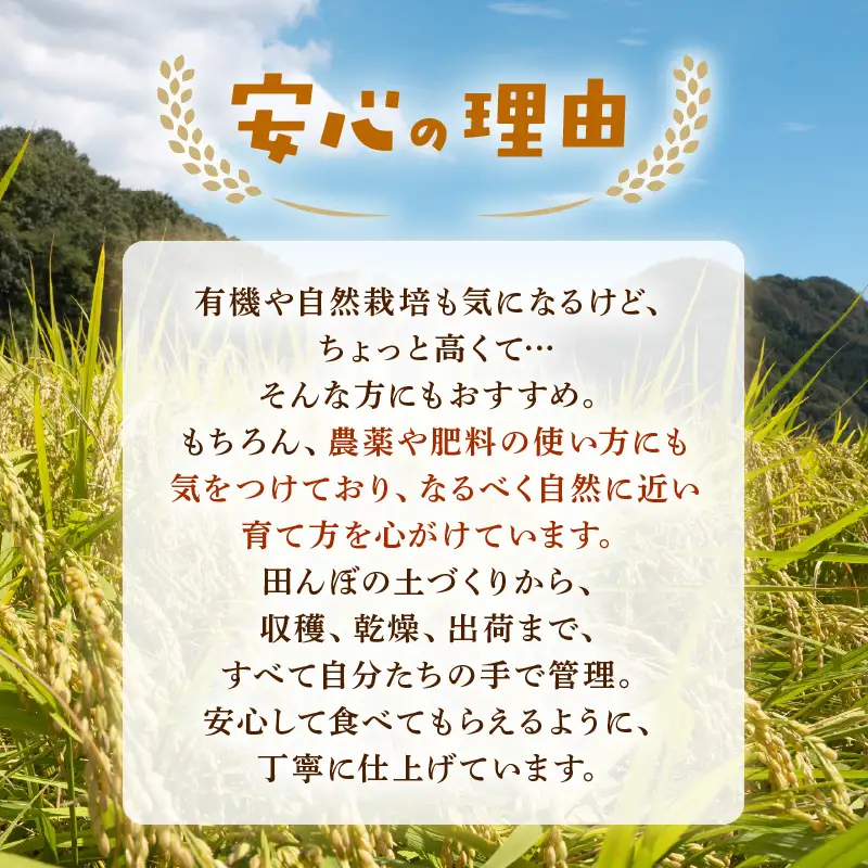 【令和8年産】 にじのきらめき 玄米 5kg／ 鮮度抜群 5キロ 福井県あわら産 玄米 お米 [aw071-a013]