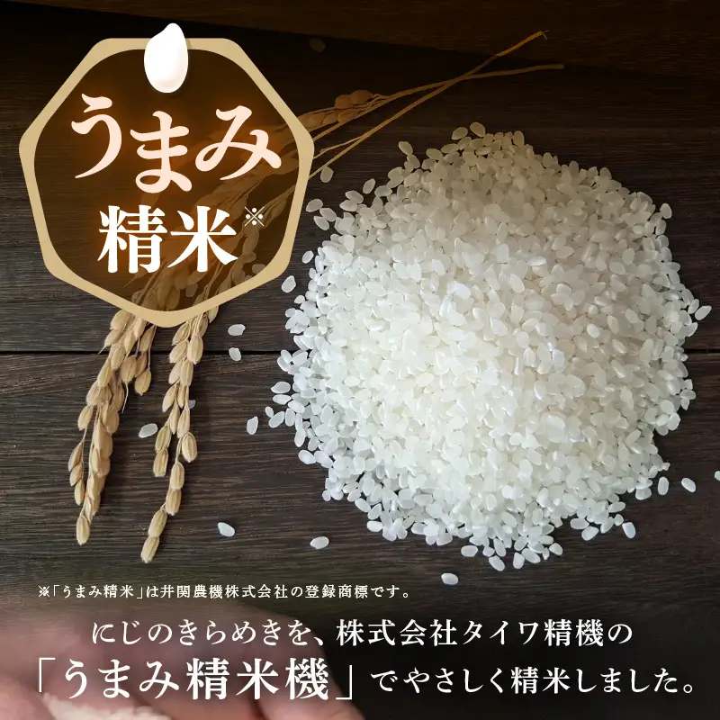 【先行予約】【令和8年産】 定期便 ≪3ヶ月連続お届け≫ にじのきらめき うまみ精米 5kg×3回／ 鮮度抜群 15キロ 福井県あわら産 お米 ※2026年10月上旬より順次発送 [aw071-c006]