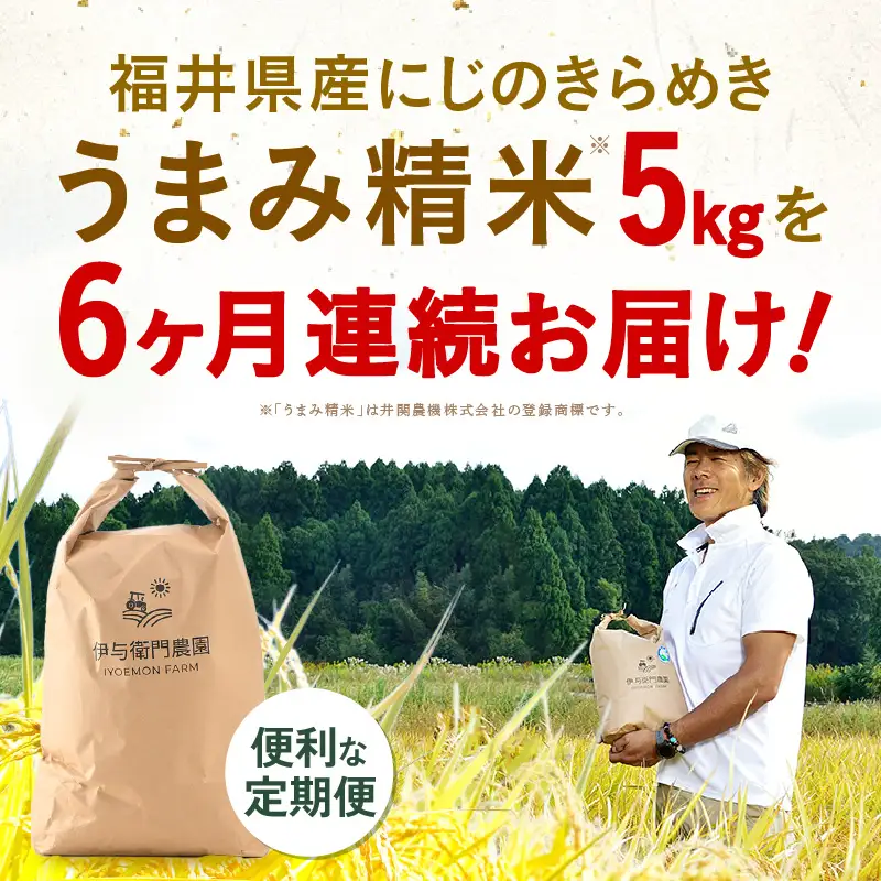 【先行予約】【令和8年産】 定期便 ≪6ヶ月連続お届け≫ にじのきらめき うまみ精米 5kg×6回／ 鮮度抜群 30キロ 福井県あわら産 お米 ※2026年10月上旬より順次発送 [aw071-f001]