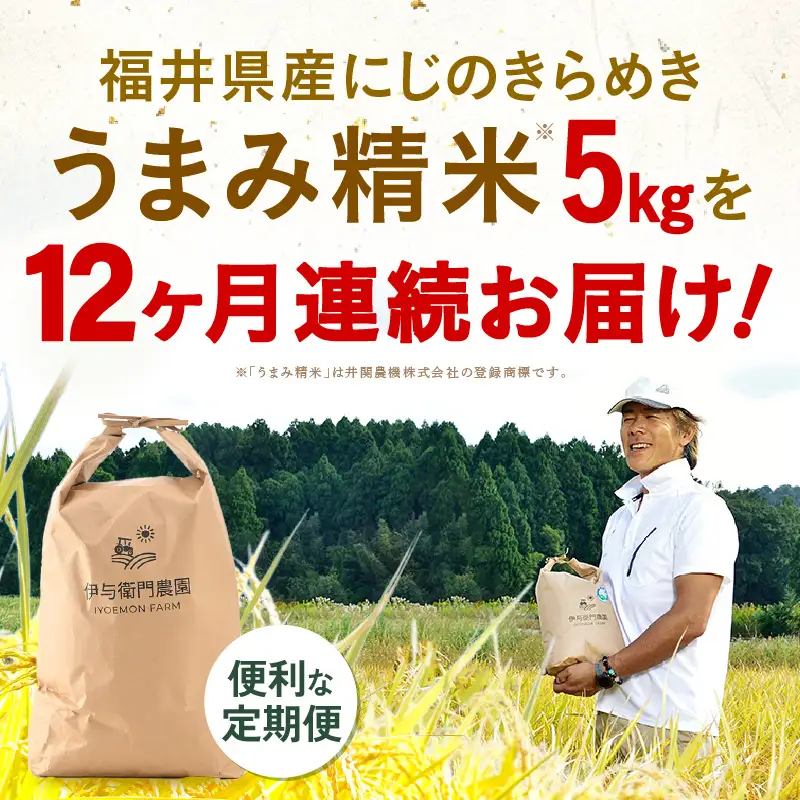 【先行予約】【令和8年産】 定期便 ≪12ヶ月連続お届け≫ にじのきらめき うまみ精米 5kg×12回／ 鮮度抜群 60キロ 福井県あわら産 お米 ※2026年10月上旬より順次発送 [aw071-k005]
