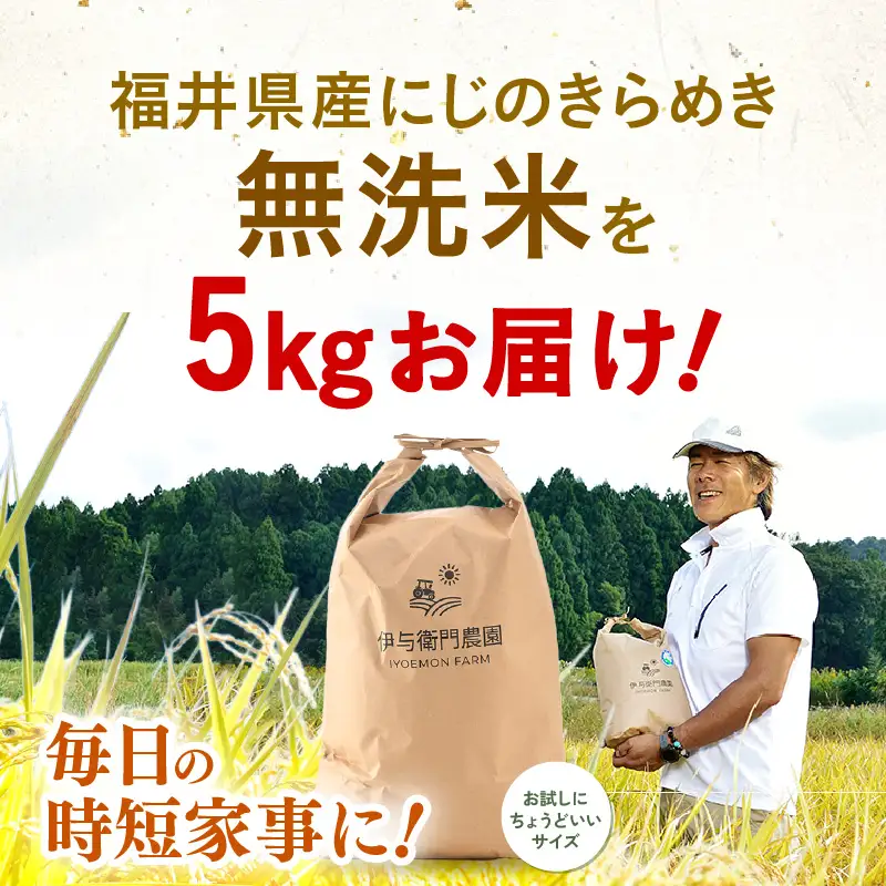 【令和8年産】 にじのきらめき 無洗米 5kg／ 鮮度抜群 5キロ 福井県あわら産 無洗米 お米 [aw071-a015]