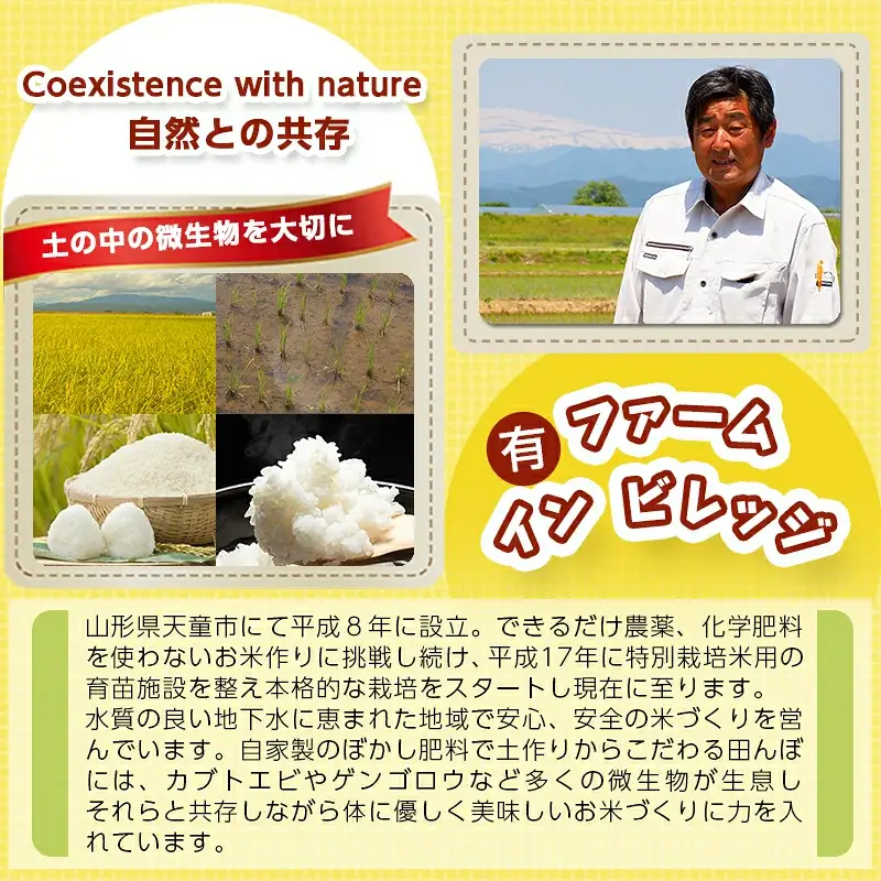 はえぬき 4kg (2kg×2袋) 令和8年産 山形 米 精米