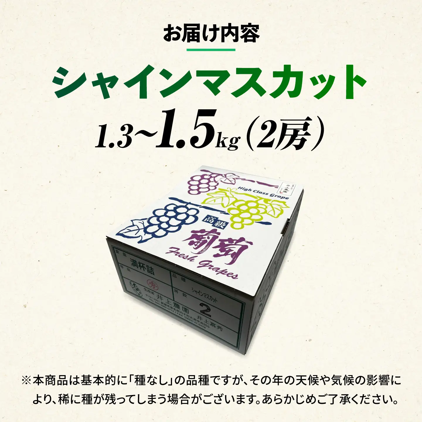 【先行予約】シャインマスカット1.3～1.5kg (2房) 井上農園 BKCS002
