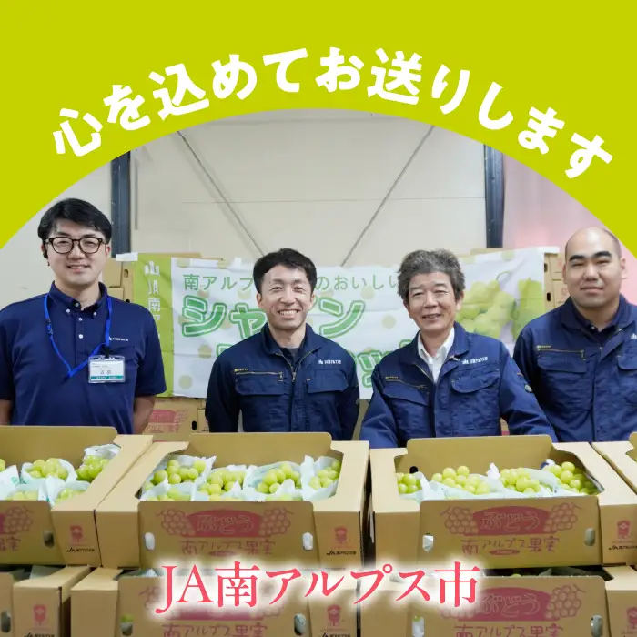 粒シャインマスカット バラ 秀品 約300g×2パック  【令和8年産】 ALPAA057
