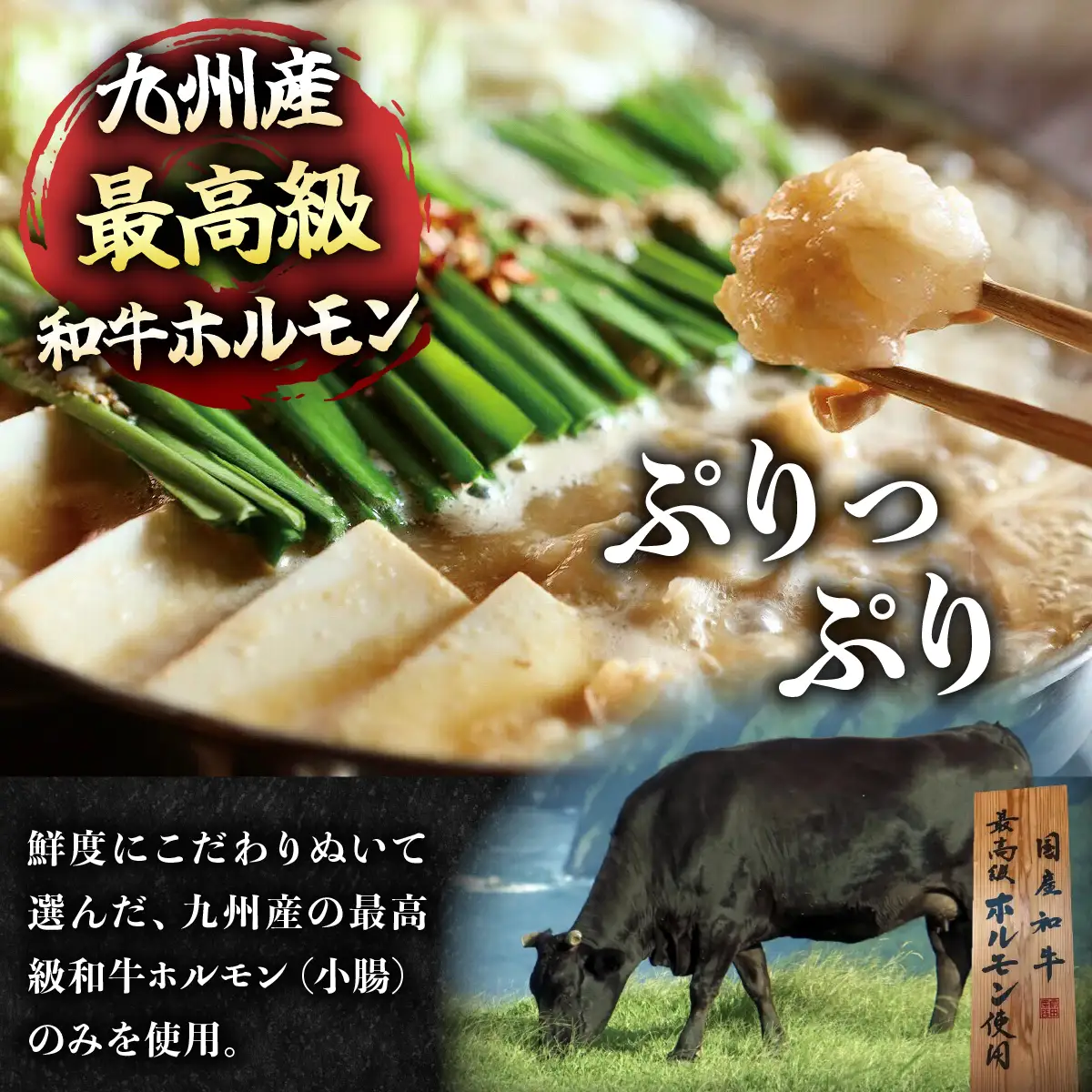 博多もつ鍋前田屋 みそ味2～3人前【LF001】
