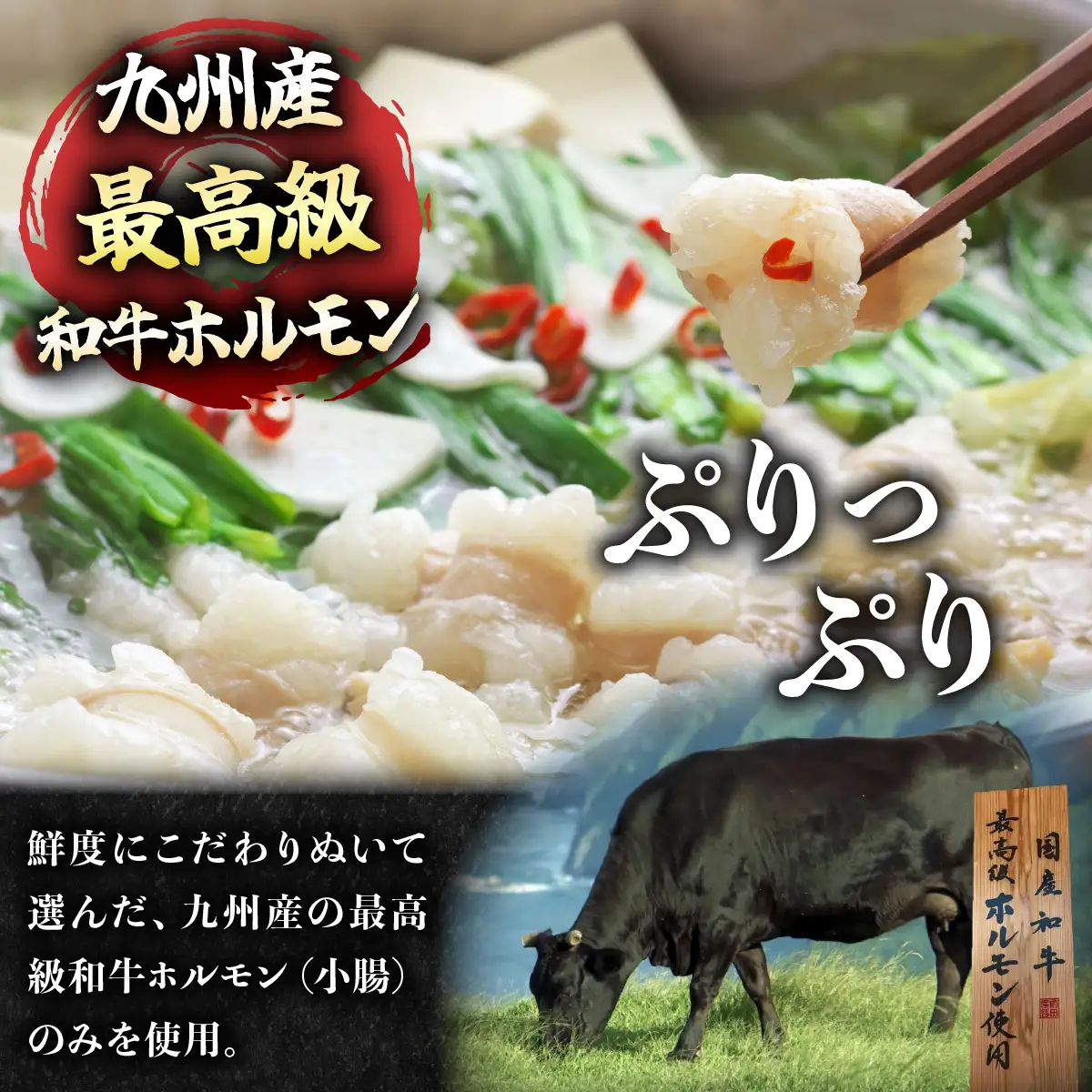 ＜定期便3回 毎月お届け＞博多もつ鍋前田屋 しょうゆ味2～3人前【LF011】