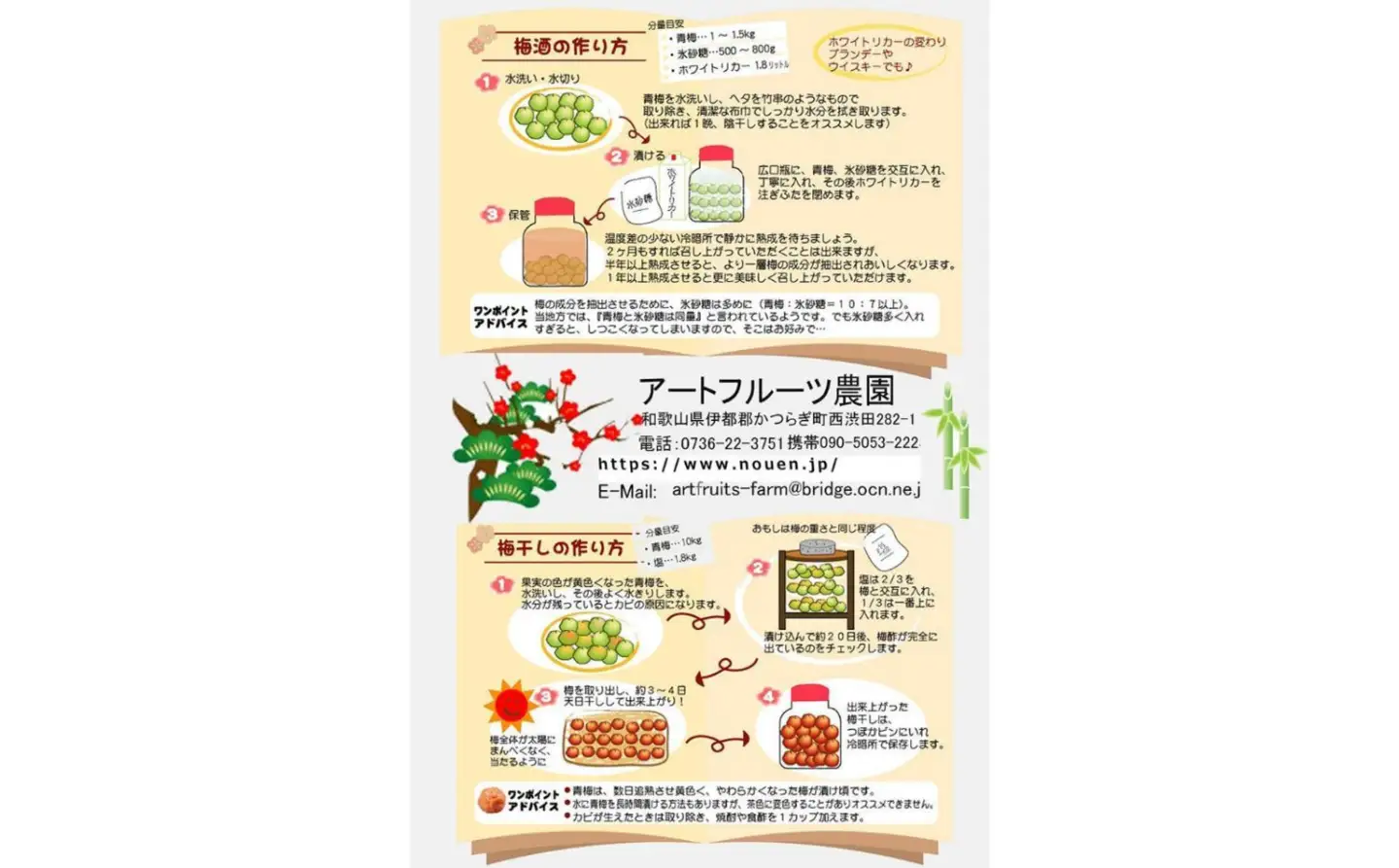 ［梅干・梅酒用］大玉4Lサイズ約2kg 熟南高 生梅 ＜2027年6月上旬～7月中旬発送予定＞［ART21］