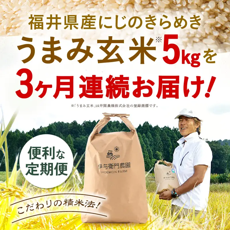 【先行予約】【令和8年産】 定期便 ≪3ヶ月連続お届け≫ にじのきらめき うまみ玄米 5kg×3回 ／ 鮮度抜群 15キロ 福井県あわら産 玄米 お米 ※2026年10月上旬より順次発送 [aw071-c008]