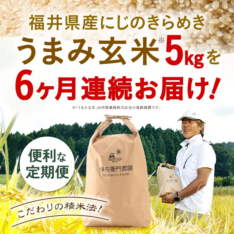 【先行予約】【令和8年産】定期便 ≪6ヶ月連続お届け≫ にじのきらめき うまみ玄米 5kg×6回 ／ 鮮度抜群 30キロ 福井県あわら産 玄米 お米 ※2026年10月上旬より順次発送 [aw071-g003]