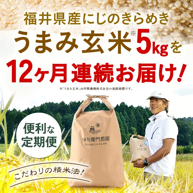【先行予約】【令和8年産】定期便 ≪12ヶ月連続お届け≫ にじのきらめき うまみ玄米 5kg×12回 ／ 鮮度抜群 キロ 福井県あわら産 玄米 お米 ※2026年10月上旬より順次発送 [aw071-l006]