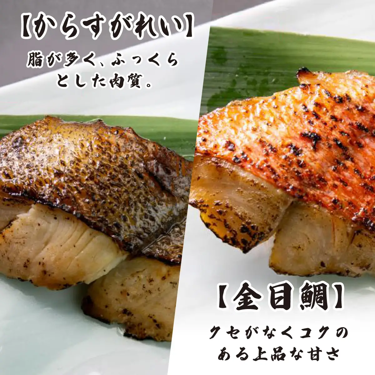 自家製 味噌漬け焼魚 おまかせ食べ比べセット（3～6種・計6切）[007-a008]