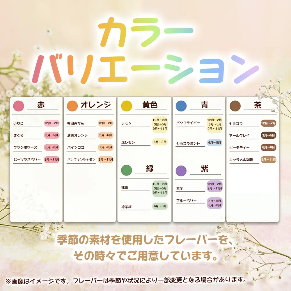 店長オススメ5色アソート(5個入) 3セット