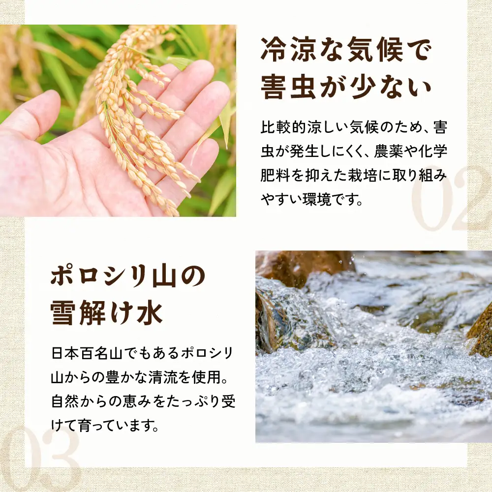 【新米予約】 令和8年産 ゆめぴりか 3kg 白米 北海道 留萌産