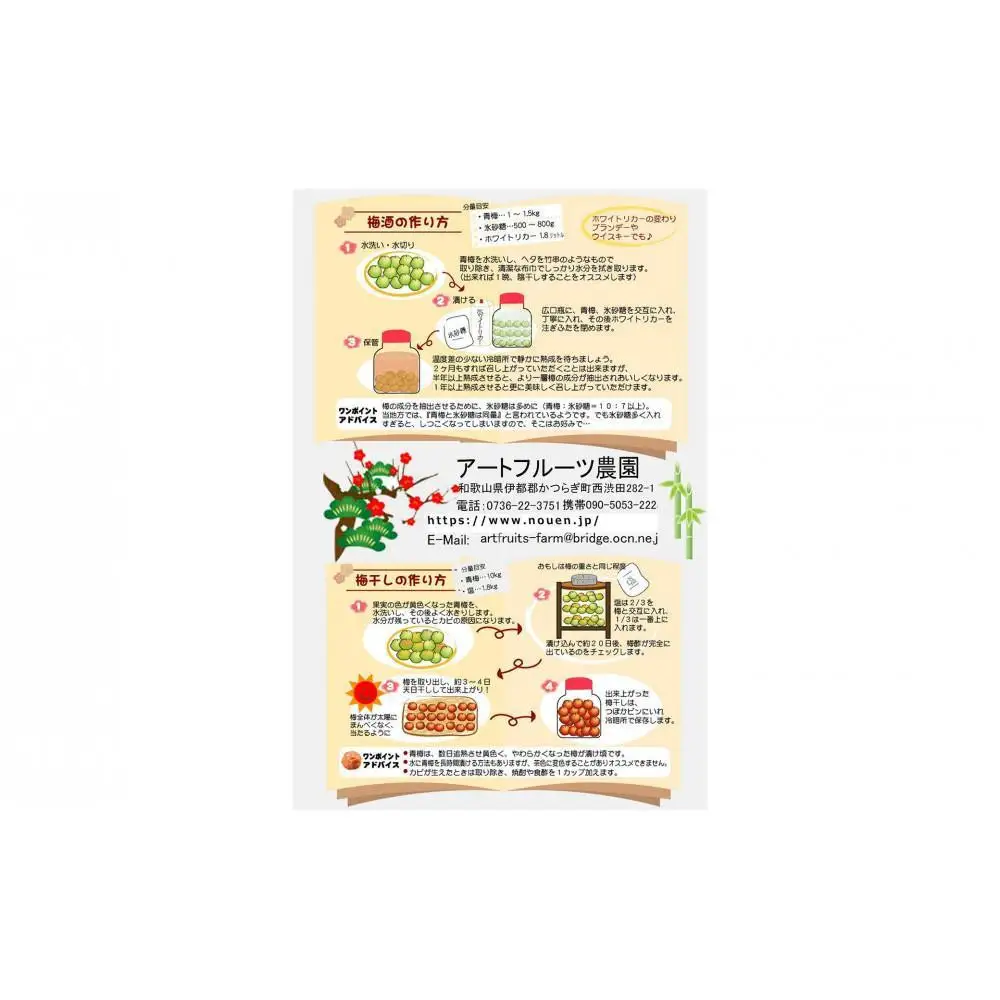 ［梅干・梅酒用］大玉4Lサイズ約10kg熟南高 生梅 ＜2027年6月上旬～7月中旬発送予定＞［ART22］