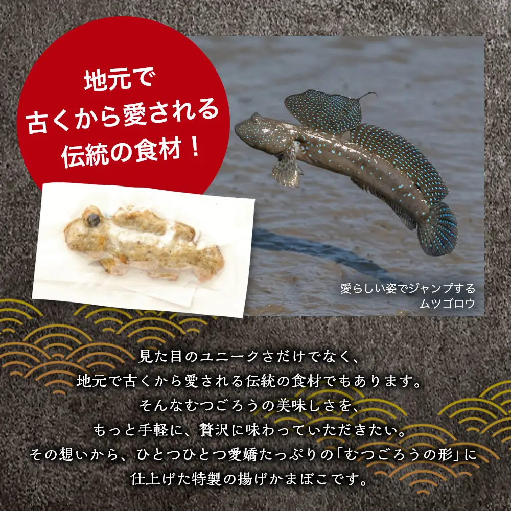 揚げむつごろう蒲鉾 4個（個包装 真空パック）佐賀県 鹿島市 送料無料 A-252
