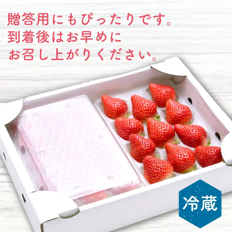 いちご 2パック（500g） 【2027年1-3月発送】