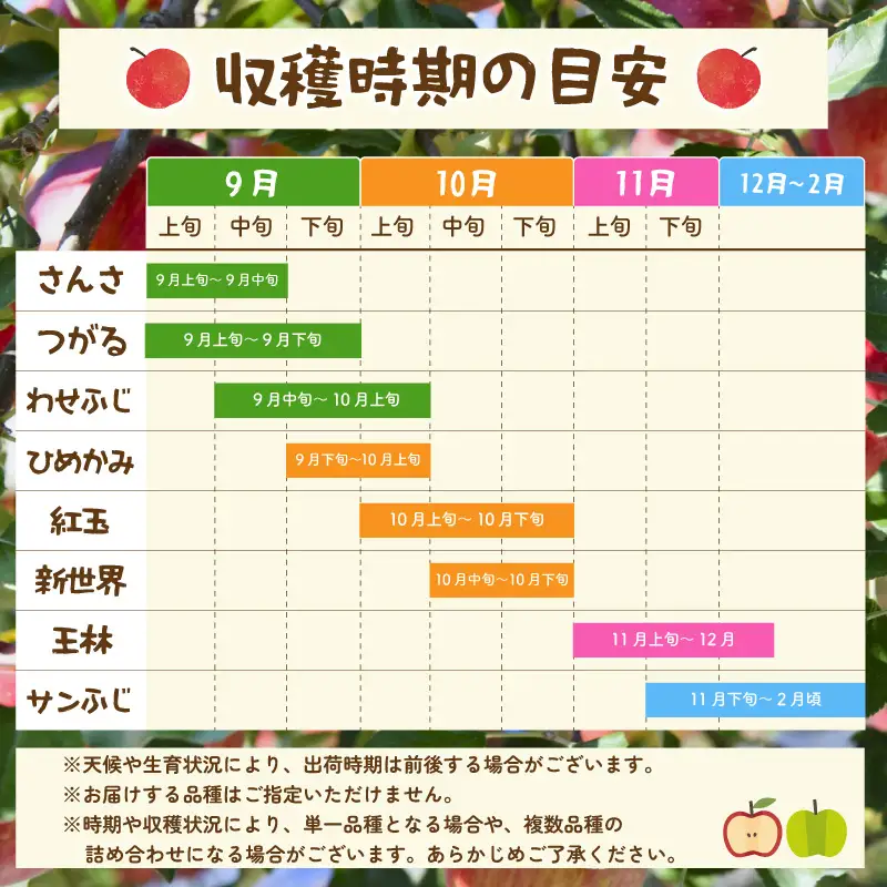 先行予約 家庭用 りんご 品種おまかせ 5kg りんご