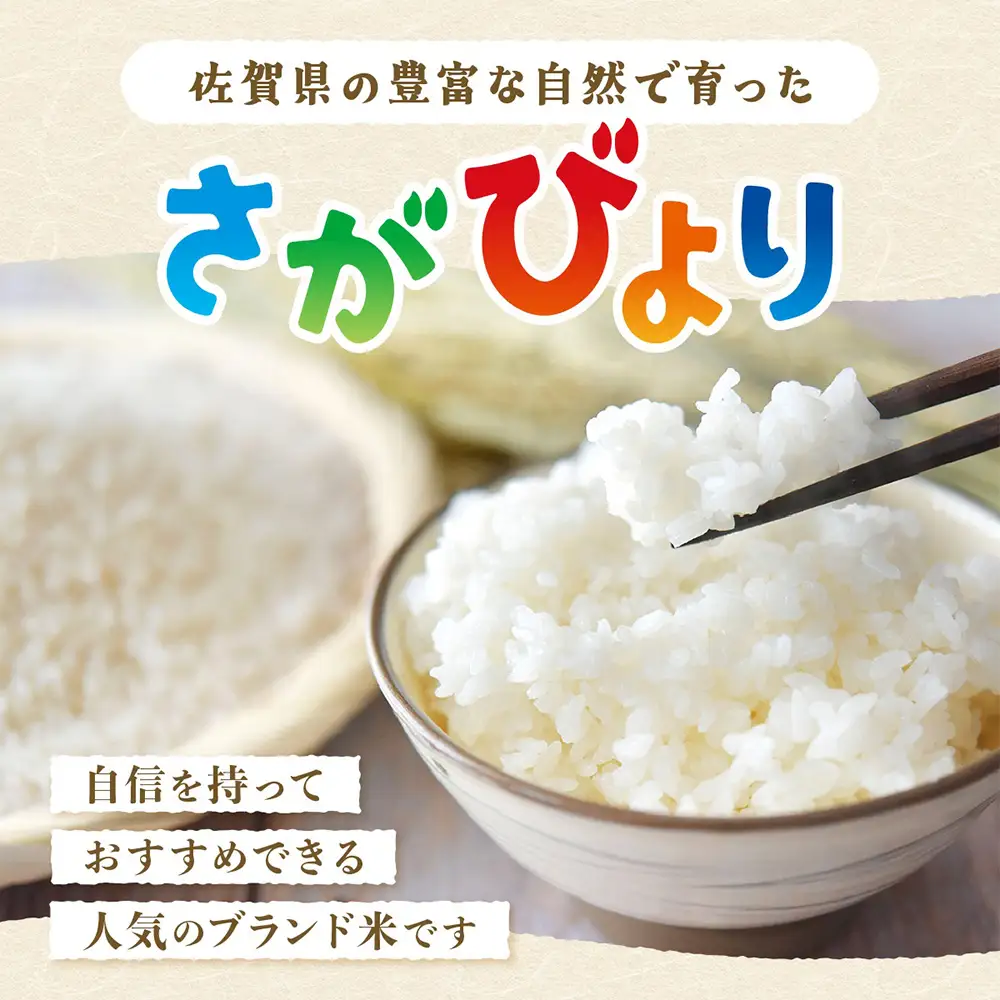 令和7年産 佐賀県産 厳選 さがびより 玄米 4kg（2kg×2袋）A-149 精米 お米