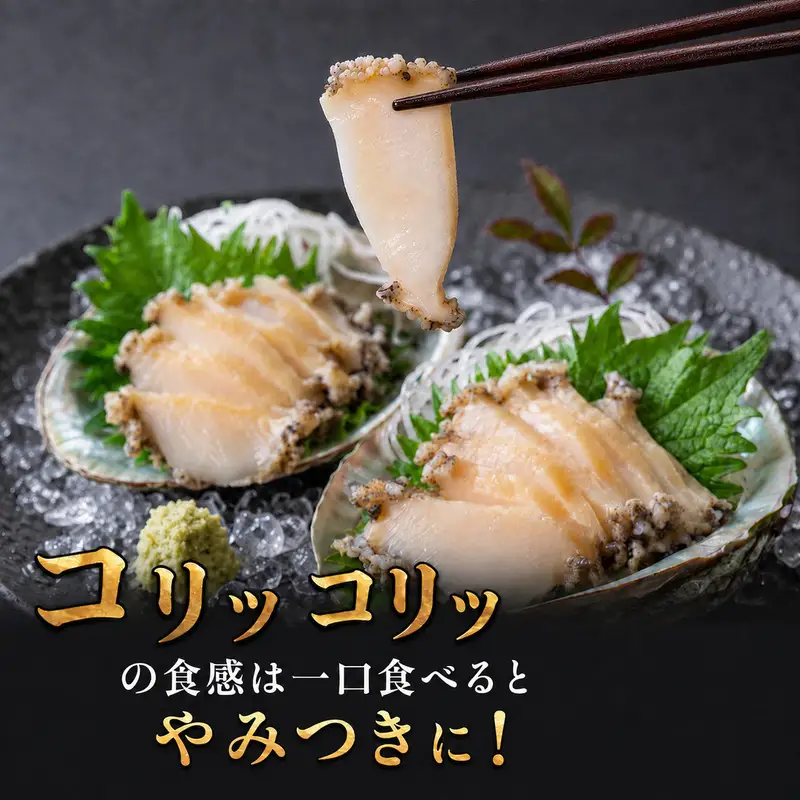 北海道礼文島産 冷蔵 生蝦夷あわび１kg（個数・サイズ指定不可）［Dining cafe 海］【 あわび アワビ 鮑 蝦夷アワビ エゾアワビ 刺身 おつまみ 酒の肴 ご飯のお供 絶品 】