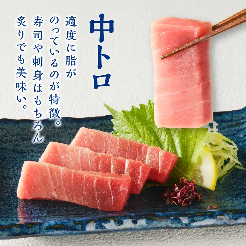 訳あり　本マグロ 天然 中トロ 500g (a14-150)