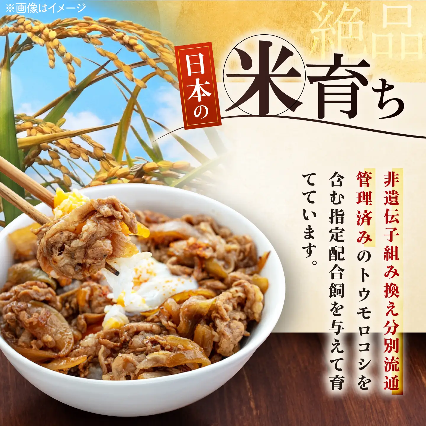 三元豚 切り落とし 計2.4kg（300g×8P）[AJAP185] 切り落とし 小分け