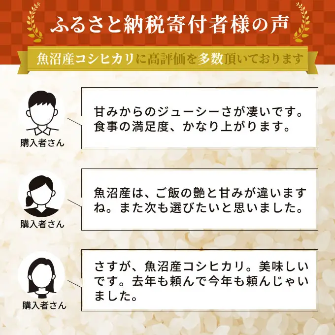 【先行予約】令和8年産 無洗米 コシヒカリ 9kg 米 白米 お米 魚沼産コシヒカリ 新潟米 新潟 魚沼市