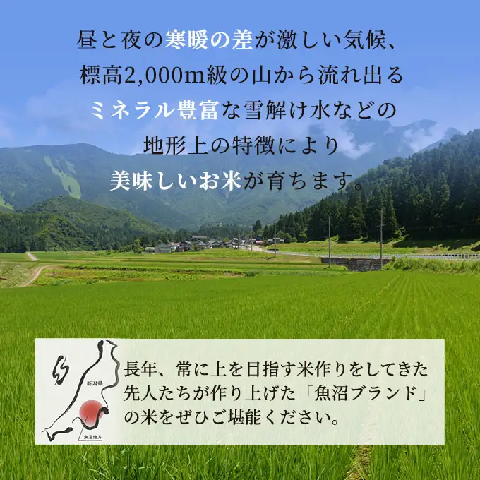 【先行予約】令和8年産 雪室貯蔵 無洗米 お米マイスター厳選 魚沼産 コシヒカリ 1等米 2.5kg　米 こしひかり 白米