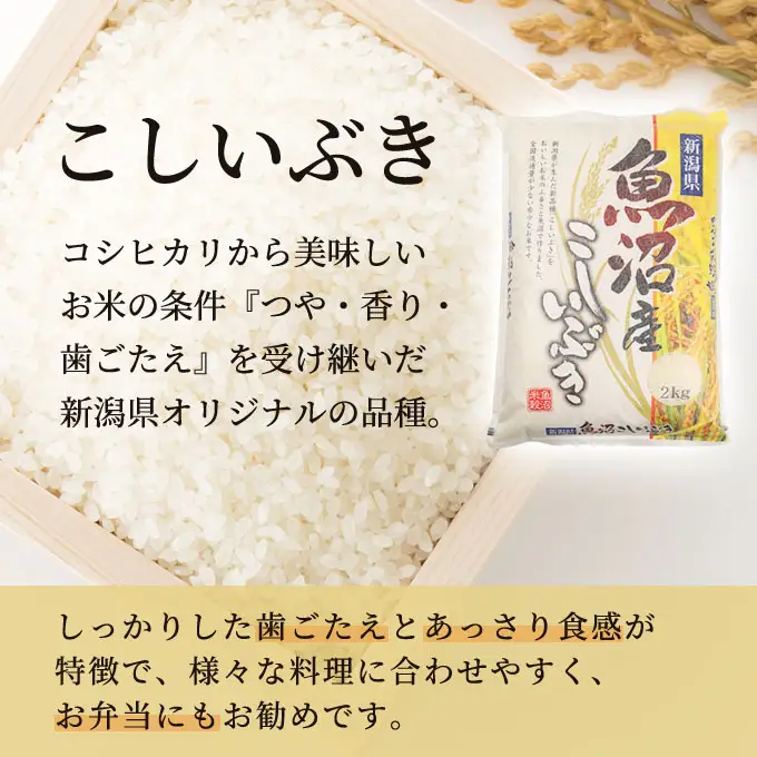 【先行予約】令和8年産 お米マイスター厳選 魚沼産 こしいぶき100％ 10kg 精米 ( 5kg × 2袋 )（ 米 魚沼 新潟 お米 こめ コメ おこめ 白米 良食味品種 安心安全 10キロ ） 新潟県