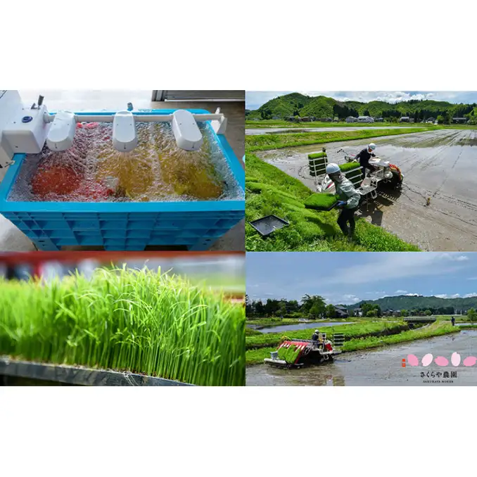 【先行予約 令和8年産】魚沼の旬米 コシヒカリ 【精米】2kg×2 お米