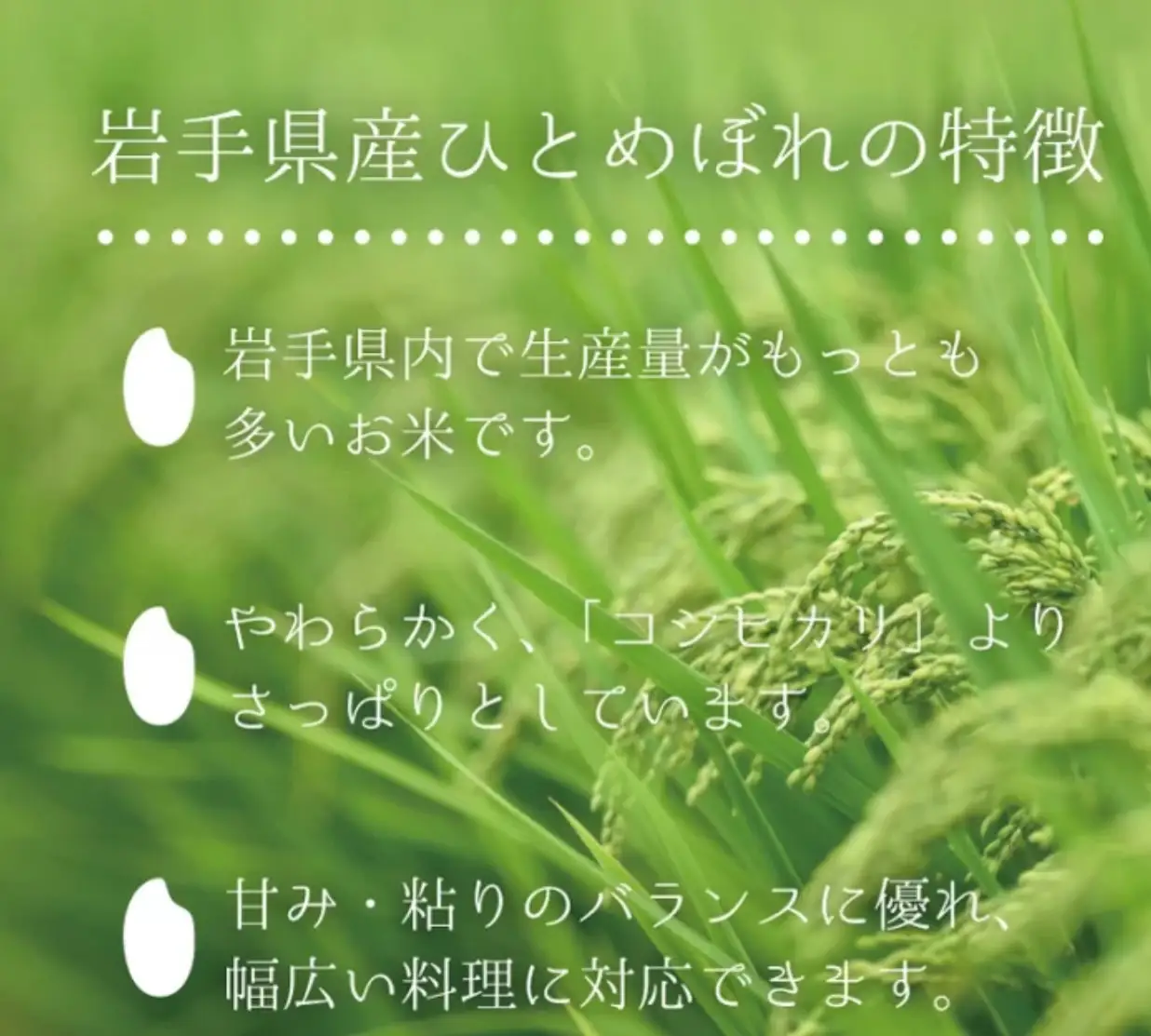 産地限定！花巻産ひとめぼれ 10kg(5㎏×2）　精米 【2537-FN】