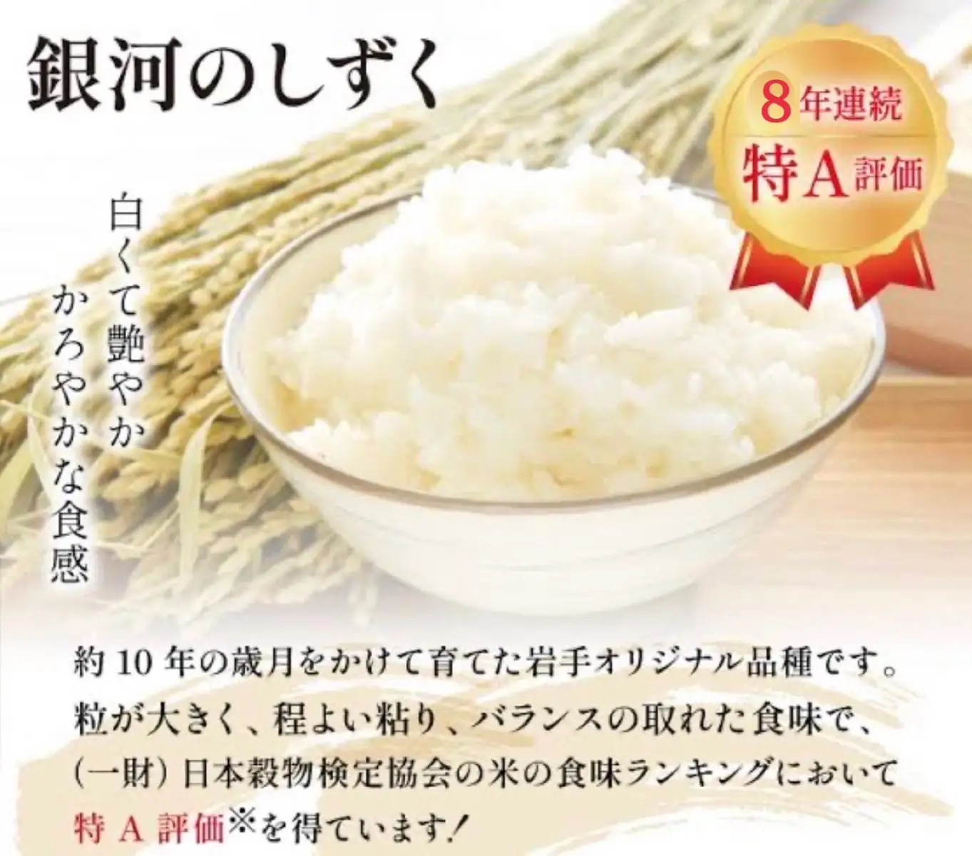 岩手県産銀河のしずく 10kg(5㎏×2）　精米 【2572-FN】