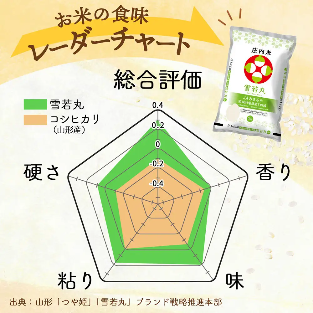 【定期便】＜令和8年産＞雪若丸 10kg×1年間 毎月お届け 山形県庄内町産 余目産 庄内米 ブランド米 米 お米の定期便 粒立ち しっかり食感 食べ応え抜群 粘り 控えめ 硬め ごはん【10月中旬発送】