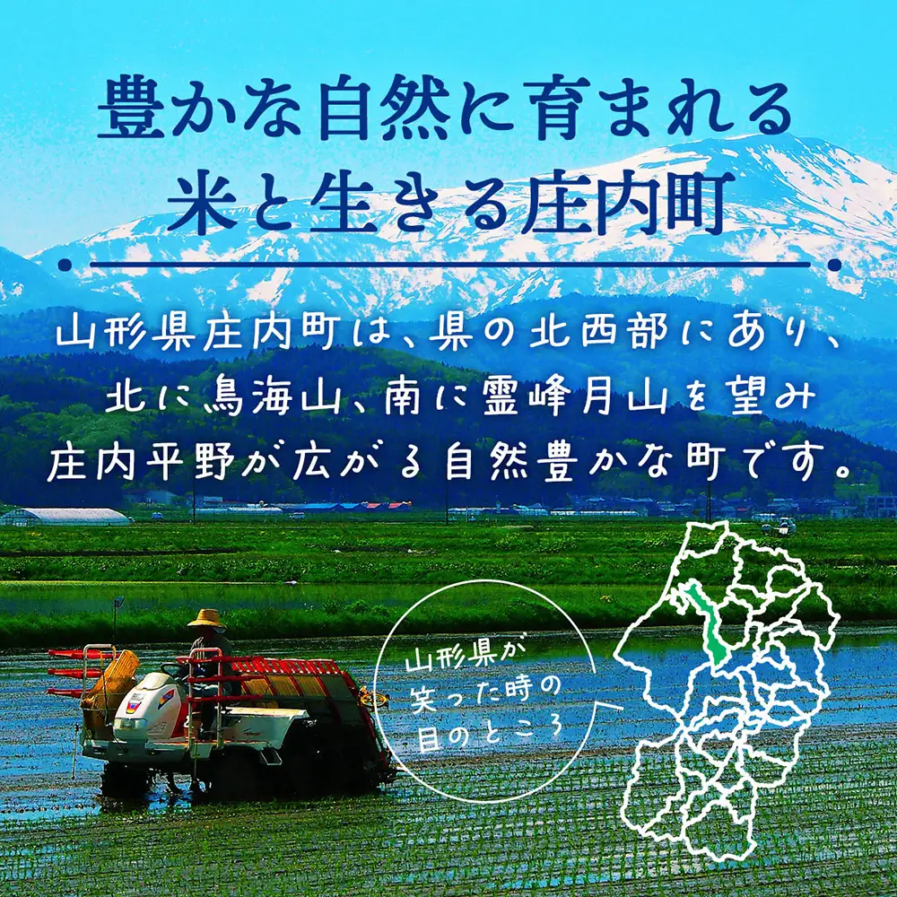 【定期便】＜令和8年産＞つや姫 5kg×1年間 特別栽培米 毎月お届け 山形県庄内町産 庄内米 ブランド米 米 お米の定期便 ごはん 粘り 甘み 香り 粒が大きい 大渡会ファーム【10月中旬発送】