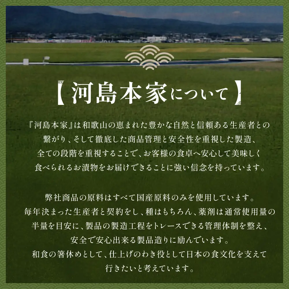 国内産 原料使用 生姜だいこん 3本 セット 河島本家
