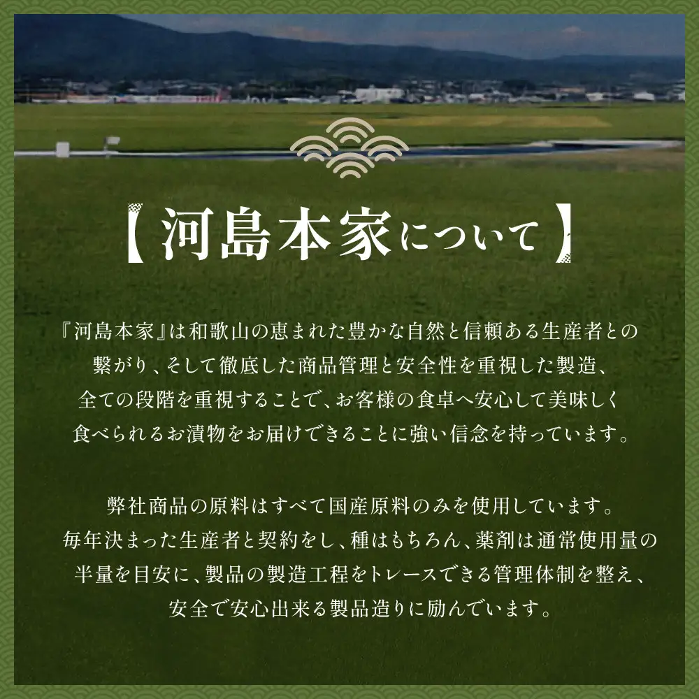 国内産 原料使用 醤油みそ漬 3本 セット 河島本家
