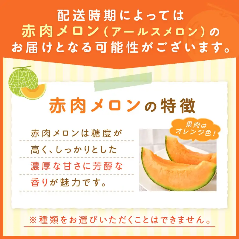 アールスメロン(マスクメロン) 2玉 3kg程度 糖度13度程度≪家庭用≫【配送不可地域：北海道・青森・秋田・岩手・沖縄・離島】【1354】