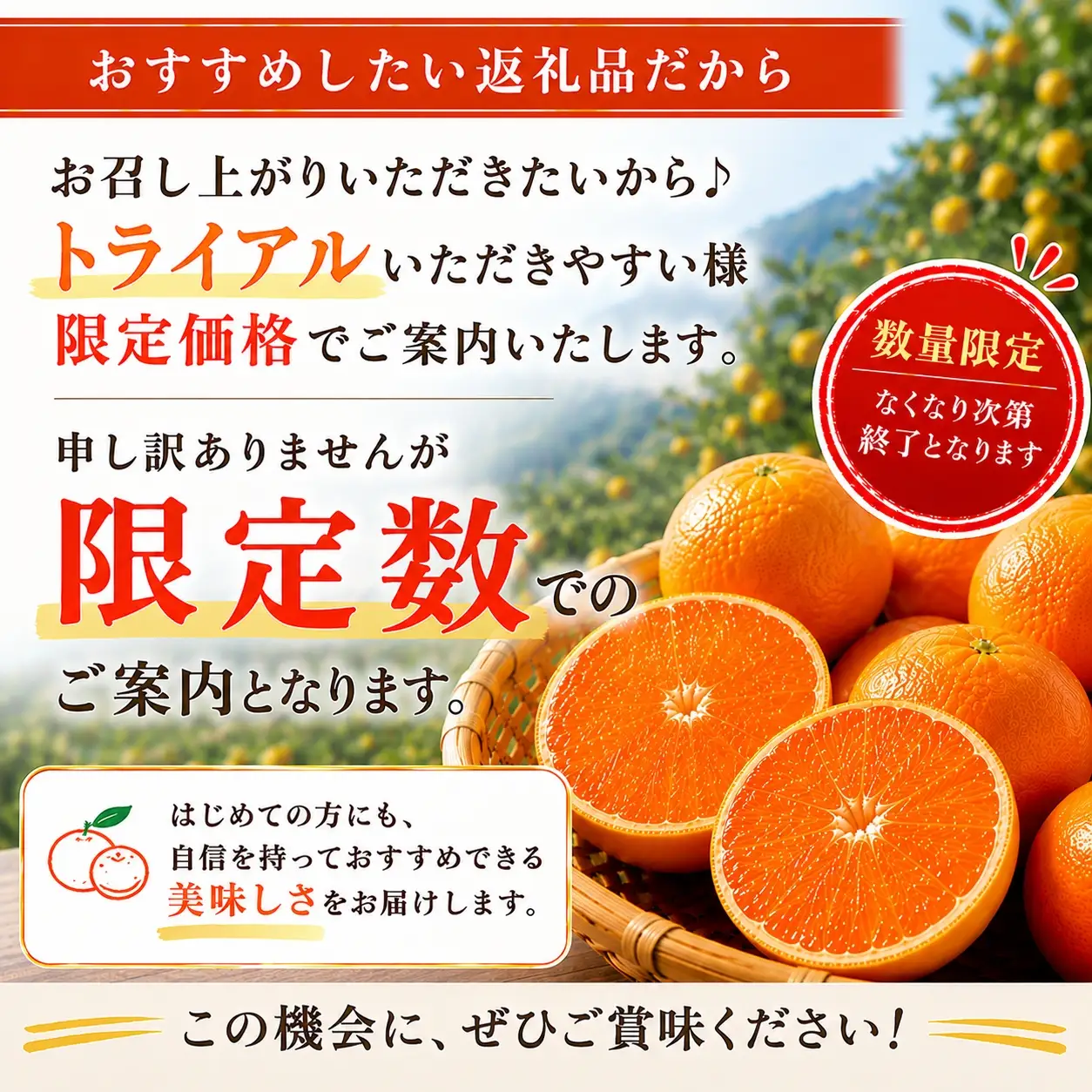 【先行受付】限定150個　ぷるぷる食感!「 マドンナ 」約3.3キロ【 訳あり 】YWTF062