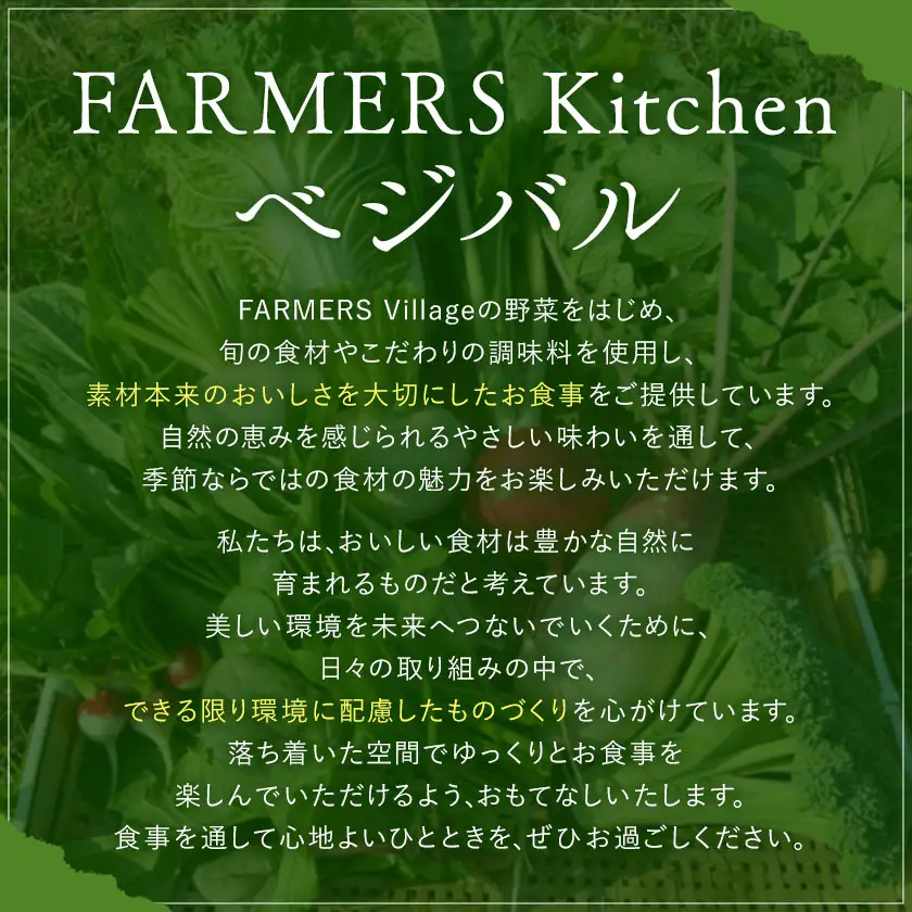 おせち 1段 1人前 一段重 FARMERS Village株式会社 FARMERS Kitchen べジバル《12月末出荷》福岡県 鞍手郡 鞍手町 お節 御節 正月 お正月 正月料理【配送不可地域あり】