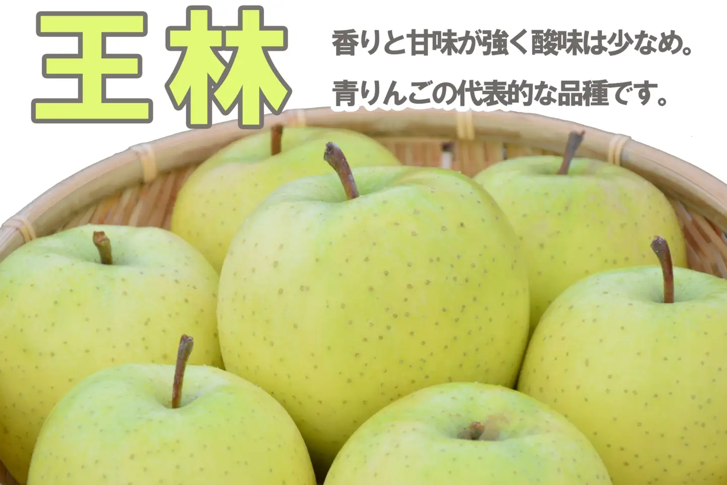 黄色りんご食べ比べ定期便 人気黄色りんご食べ比べ 3回 定期便　・ぐんま名月：約5kg・王林：約5kg・シナノゴールド：約5kg