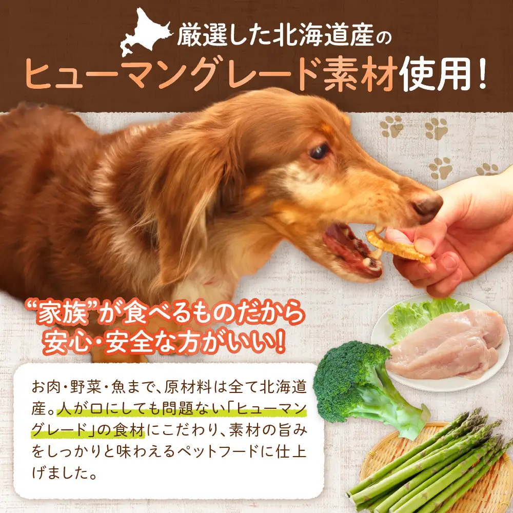 選べるジャーキー　10袋セット | ペット おやつ 犬 北海道 札幌市